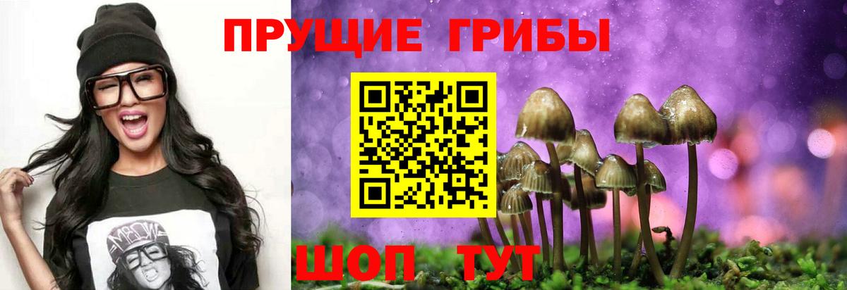 купить наркоту  Псилоцибиновые грибы прущие грибы  Псилоцибиновые грибы Magic Shrooms  Вход с VPN  Вязьма 