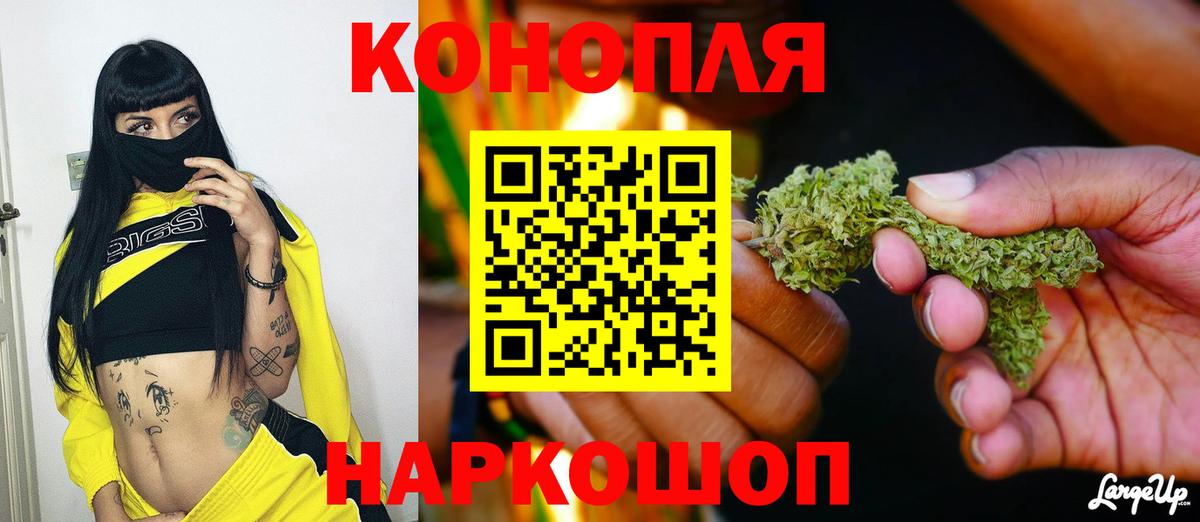 Канабис план Вязьма